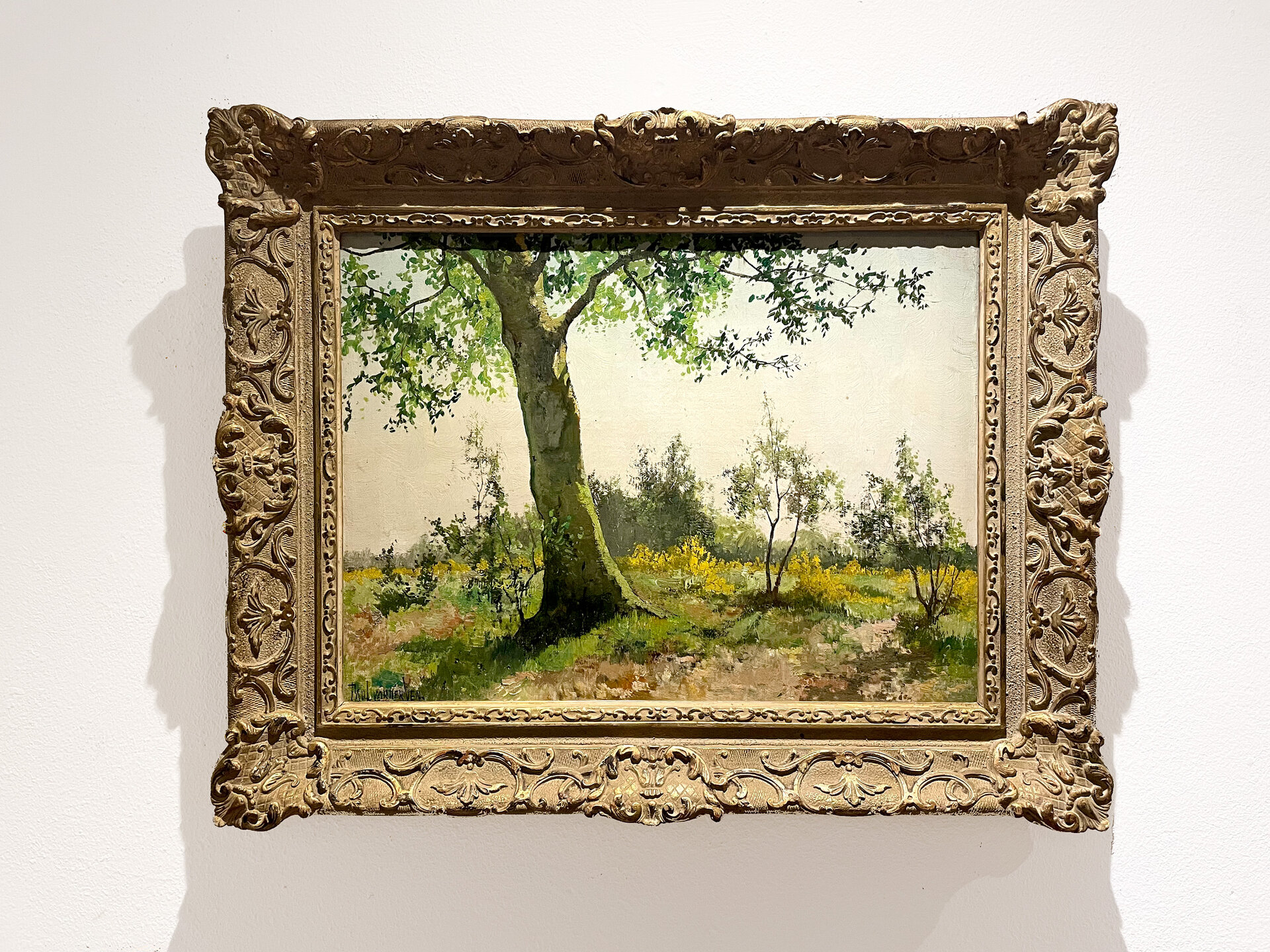 Forest Landscape, original by Paul van der Ven in oil on canvas