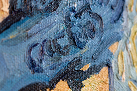 Tree Roots Van Gogh reproduction detail