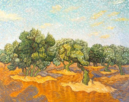 Olive Orchard Van Gogh replica