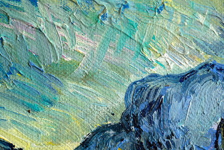 detail The Ravine Van Gogh reproduction