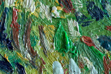 detail The Garden of the Asylum framed Van Gogh reproduction