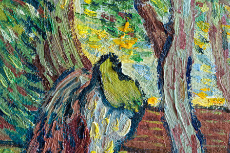 The Garden of the Asylum framed Van Gogh reproduction detail