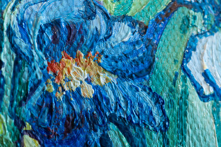 detail Irises framed Vincent van Gogh reproduction
