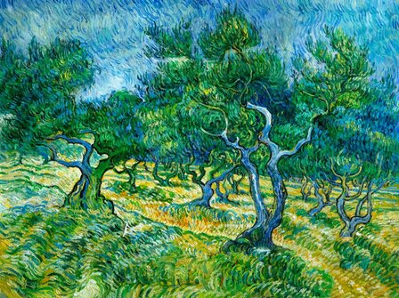 Olive Grove framed Van Gogh reproduction