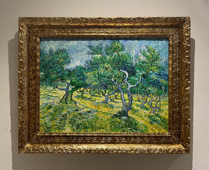 Olive Grove framed Van Gogh replicaOlive Grove framed Van Gogh replica