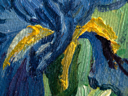 Irises mini painting, hand-painted in oil on canvas