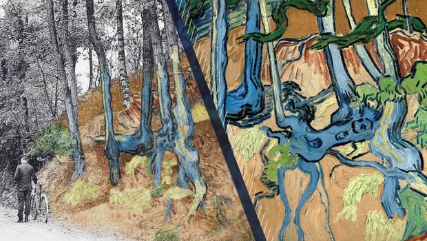 Tree Roots Van Gogh postcard discovery