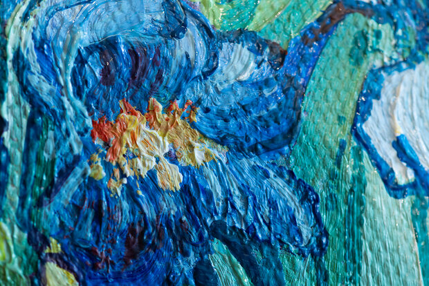 detail Irises framed Vincent van Gogh reproduction