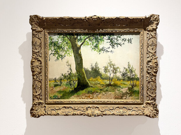 Forest Landscape, original by Paul van der Ven in oil on canvas