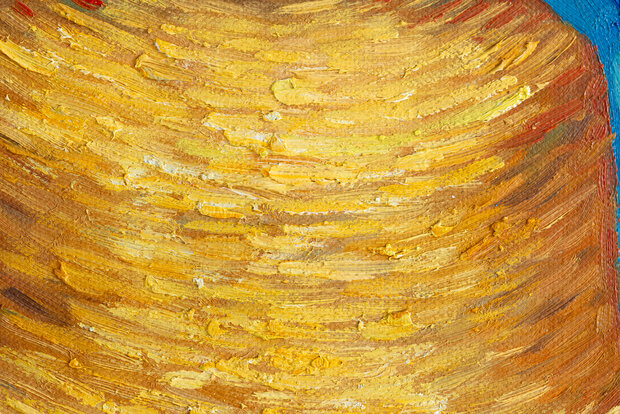 detail Portrait of a Peasant Van Gogh reproduction
