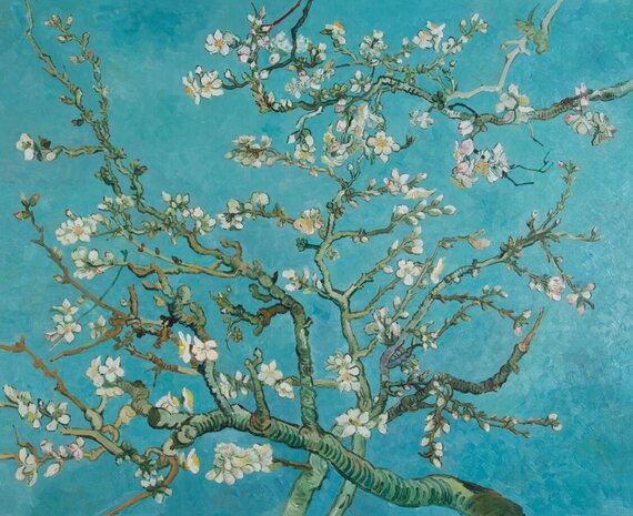 Blossoming Almond Tree reproduction