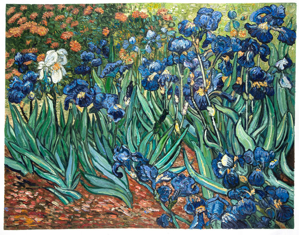 Irises    by Vincent van Gogh   Paper Print Reproduction 
