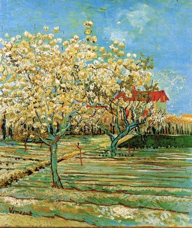 Orchard in Blossom Van Gogh Reproduction