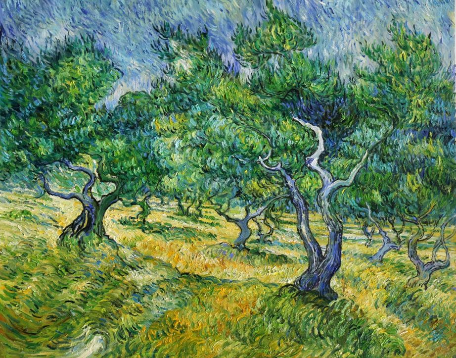 Olive Grove Van Gogh Reproduction, hand-painted in oil on canvas