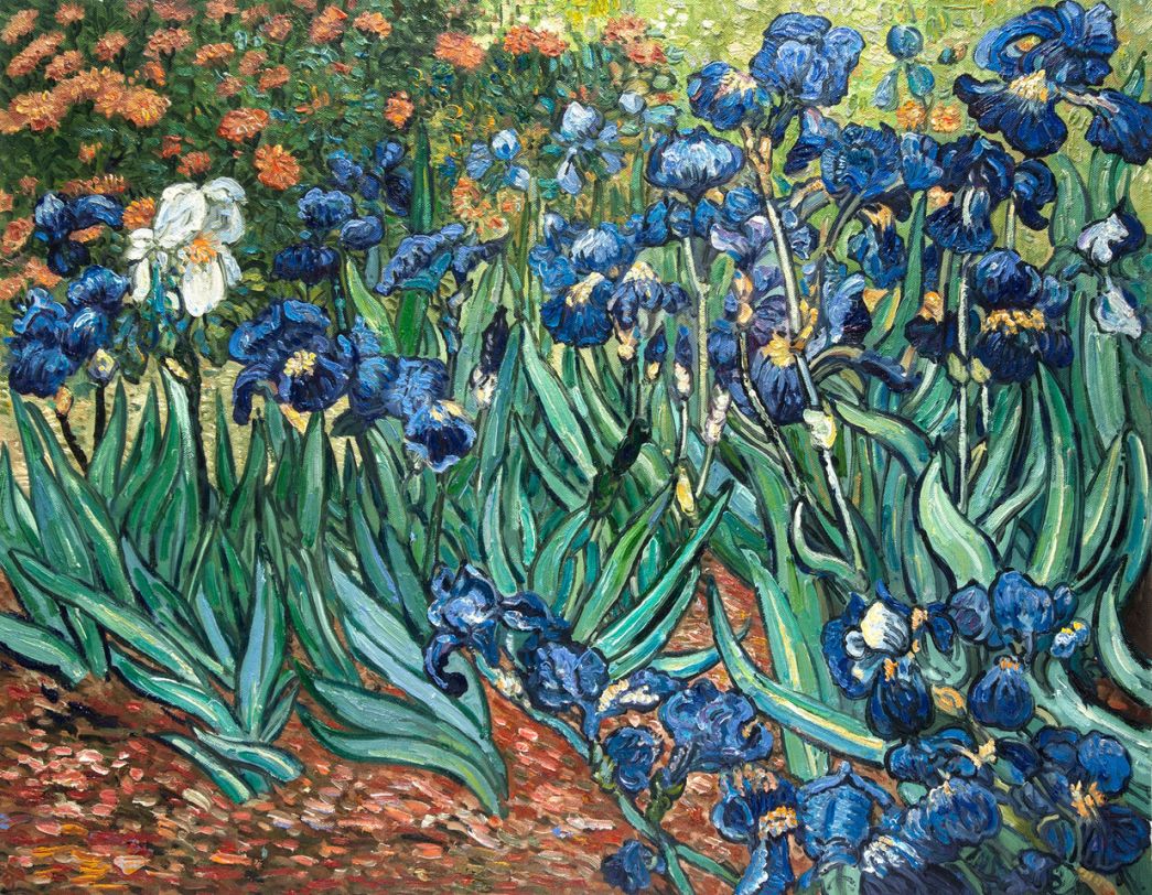 Van gogh irises discount
