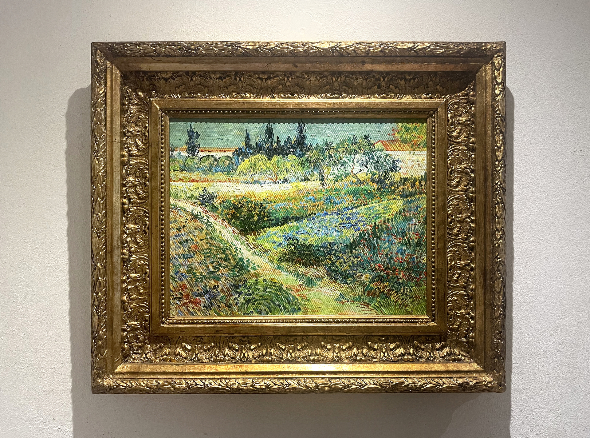 Garden at Arles framed Van Gogh reproduction