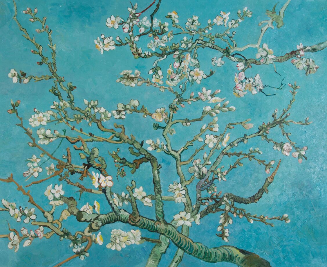 Blossoming Almond Tree reproduction