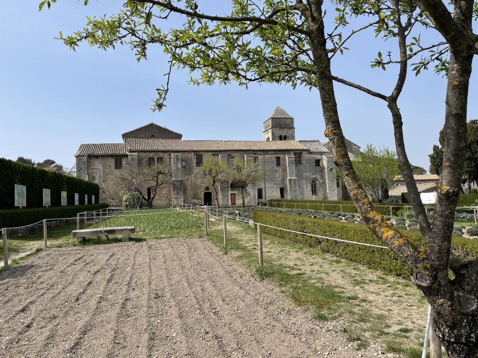 Follow in Van Gogh's footsteps and see Van Gogh's Blossoming Almond Tree