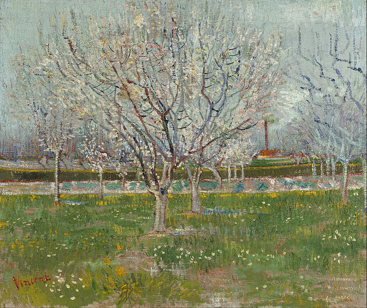 Did Van Gogh admire Jean Richepin?