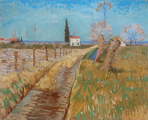 Did Van Gogh paint at home?