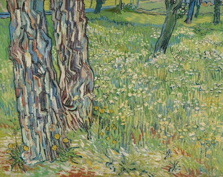 Did Van Gogh want to leave the asylum?