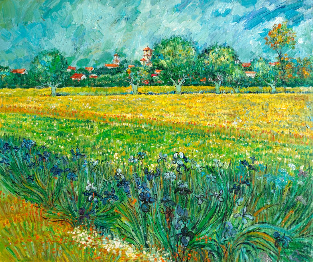 Veld met Irissen Van Gogh reproductie