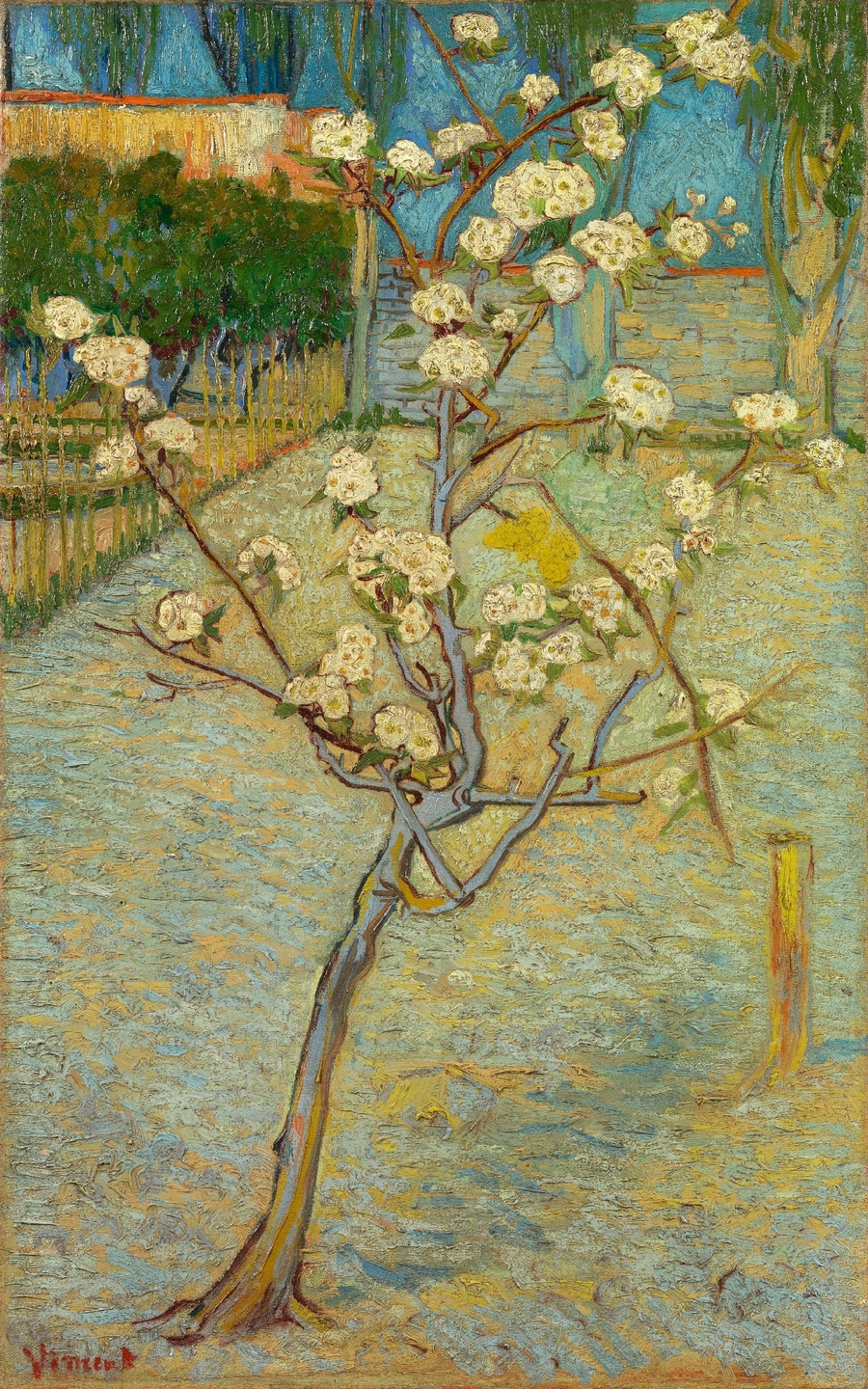 Heeft Van Gogh ooit een perenboom geschilderd?
    