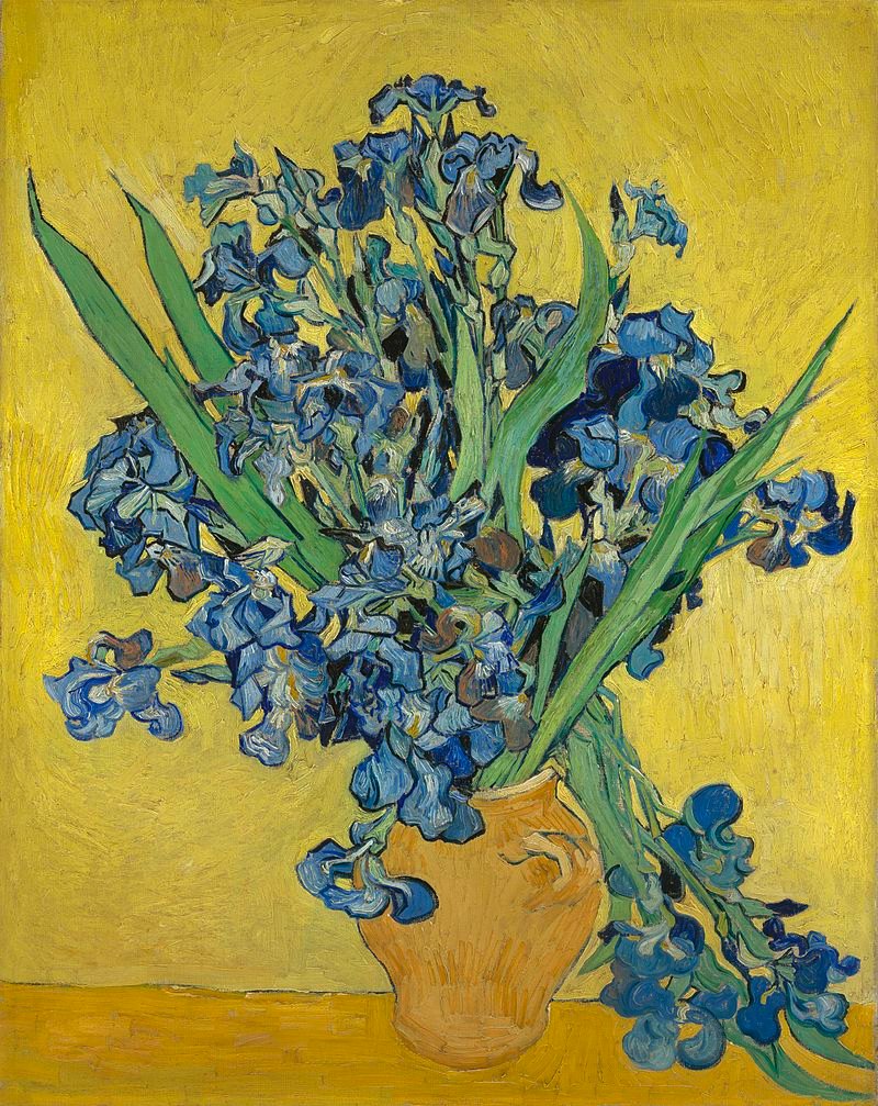 How were Van Gogh’s colors in the Irises complementary?