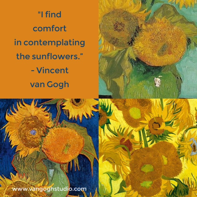 I find comfort in contemplating the sunflowers Van Gogh Quotes