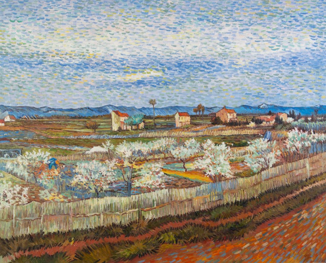 La Crau with Peach Trees in Blossom Van Gogh oil painting reproduction