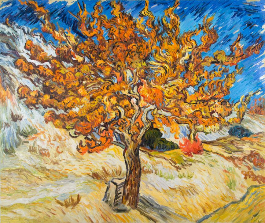 Why did Van Gogh like the Mulberry Tree so much