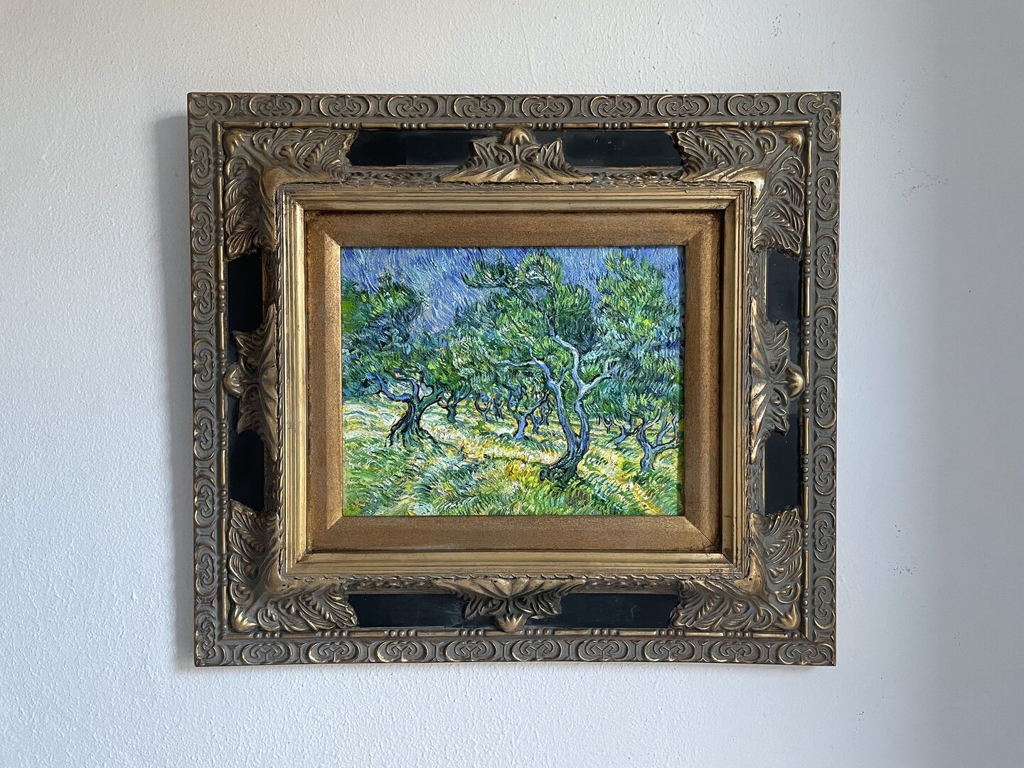 Small Olive Grove replica with vintage Italian frame