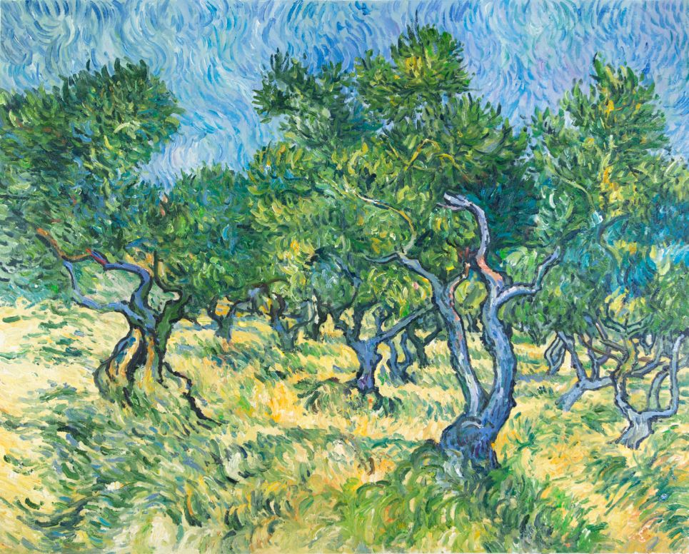 Why did Van Gogh not dare to paint the olive tree
