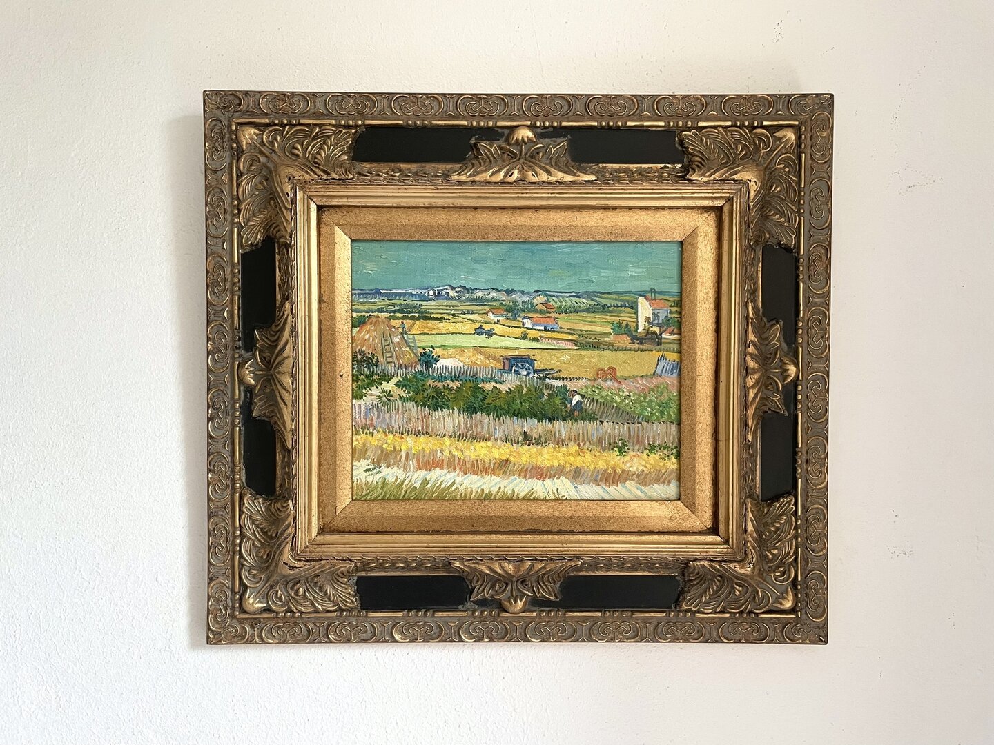 Small Harvest at La Crau replica with vintage Italian frame