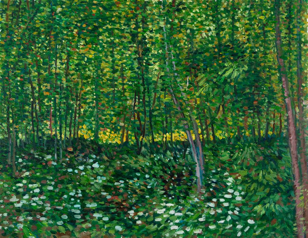 Bos met kreupelhout Van Gogh replica