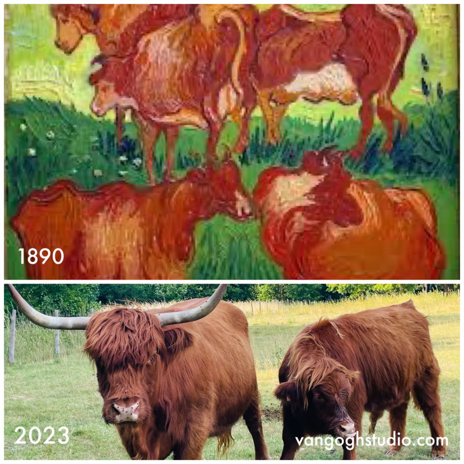 Where is Van Gogh's Cows in Auvers-sur-Oise