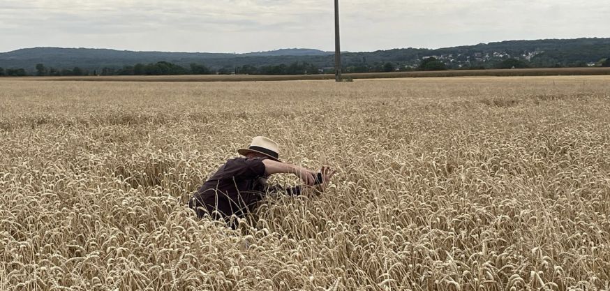 Follow in Van Gogh’s footsteps in Auvers-sur-Oise