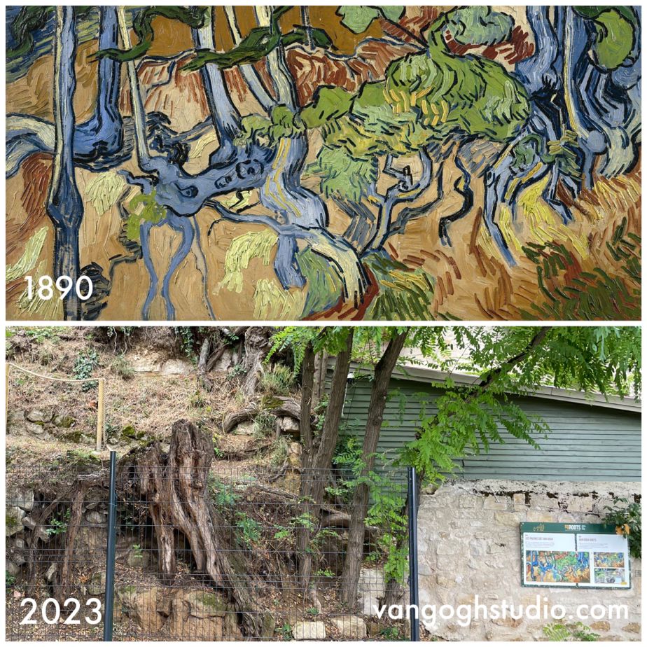 Where are Van Gogh's Tree Roots in Auvers-sûr-Oise