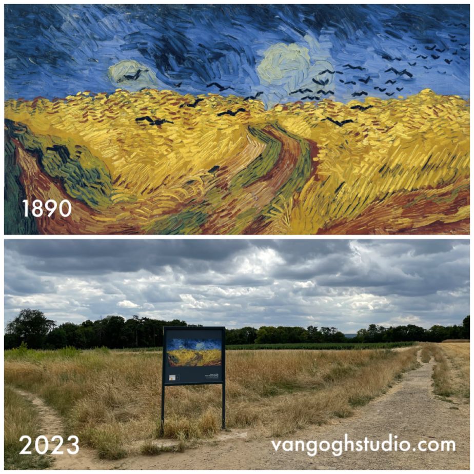 Where is Van Gogh's Wheat Field with Crows in Auvers-sûr-Oise