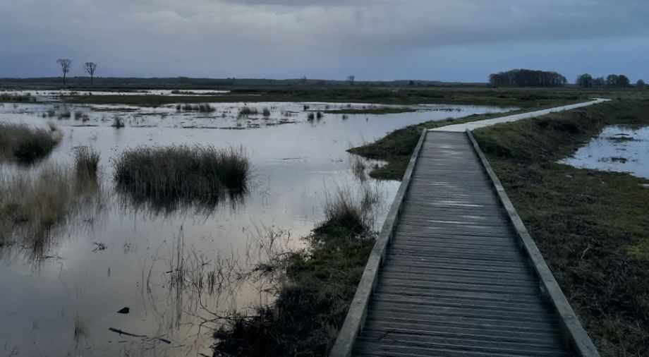 National Park Dwingelderveld in Drenthe