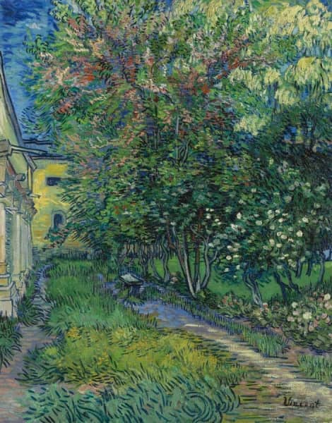What is the meaning of Van Gogh’s colors?