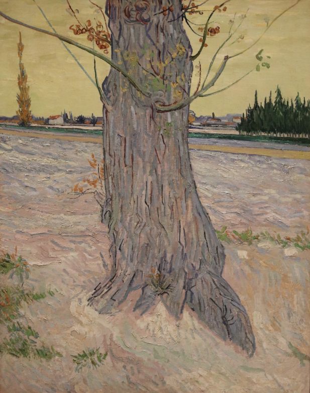 What kind of frames did Van Gogh like?