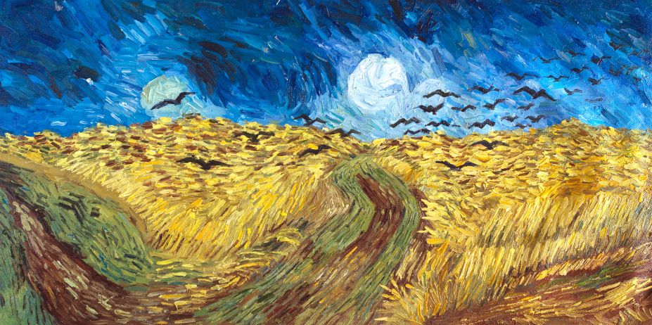 Did Vincent van Gogh kill himself?
