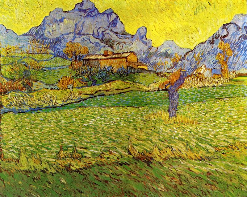 Where did Van Gogh order his canvas?