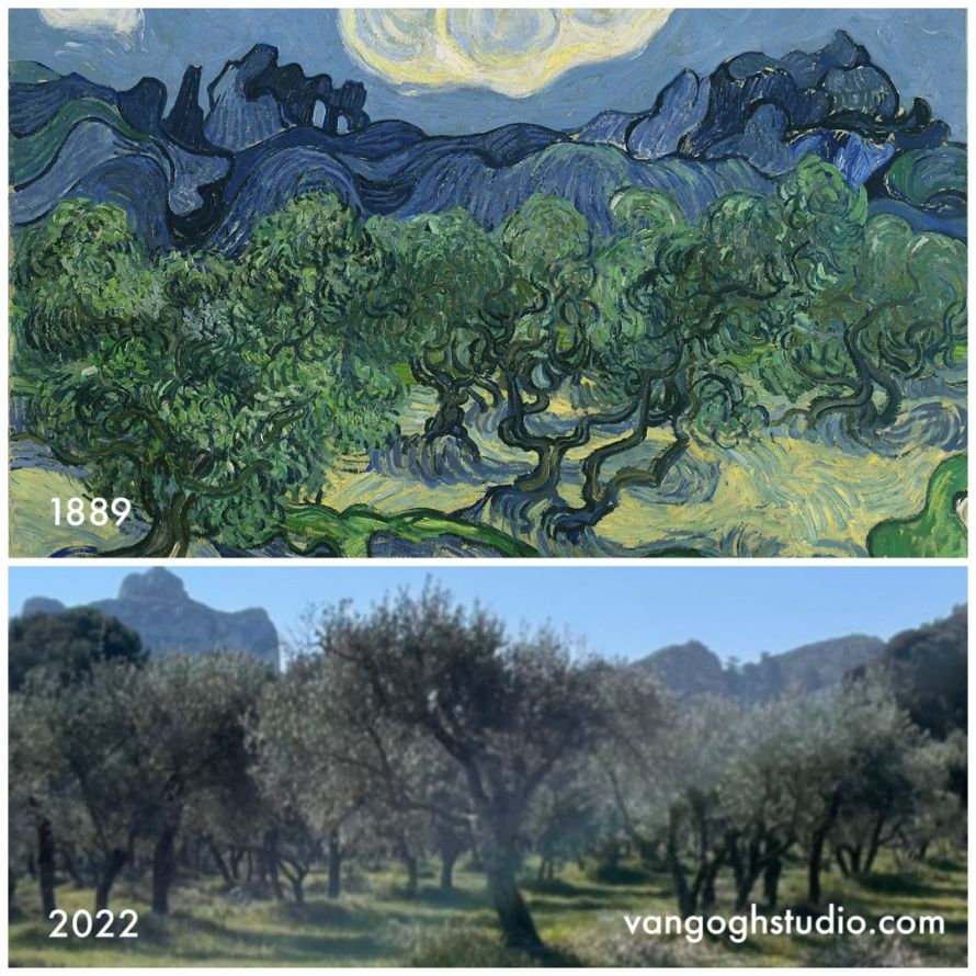 Where is Van Goghs Mountainous Landscape with Olive Trees in Saint-Remy