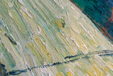 detail Quay with Men unloading Sand Barges Van Gogh reproduction