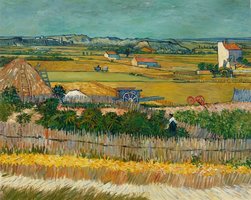 Harvest at La Crau Van Gogh Reproduction, hand-painted in oil on canvas