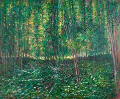 Trees and Undergrowth Van Gogh reproduction in oil on canvas