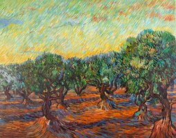 Olive Grove with Orange Sky Van Gogh Reproduction, hand-painted in oil on canvas