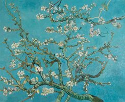 Blossoming Almond Tree Van Gogh reproduction, hand-painted in oil on canvas